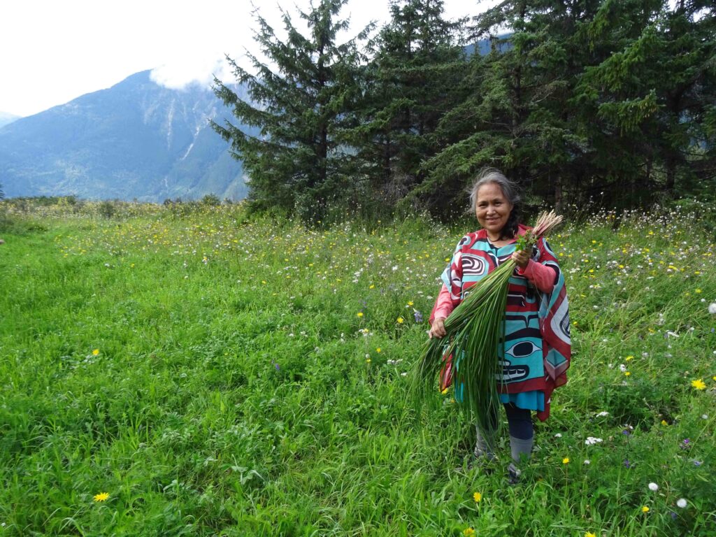 SWEETGRASS FOR HEALING 3 Sweetgrass meadow
